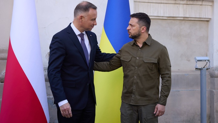 Потерпи, осталось всего ничего: Секретный разговор с Зеленским - быль или анекдот?