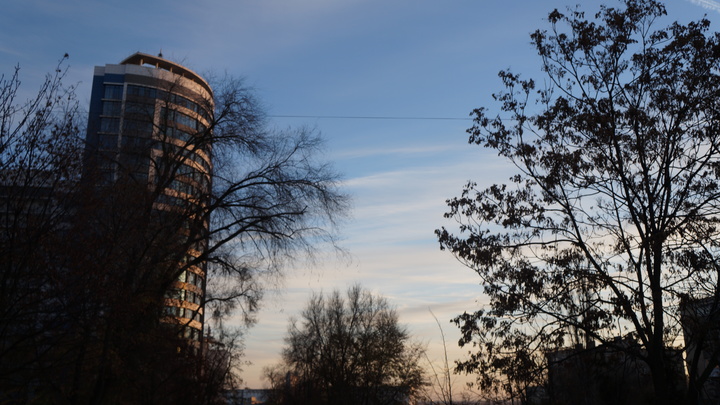 Новости Ростова-на-Дону 3 ноября 2022: Житель Гуково продал корову и отдал все деньги на фронт