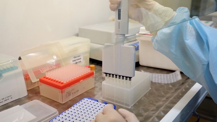 Коронавирус в Новосибирске: Смерть 32-летнего мужчины, новая лаборатория, 2+2 от главы минздрава