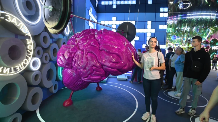 Учёные нашли разницу между мужским и женским мозгом