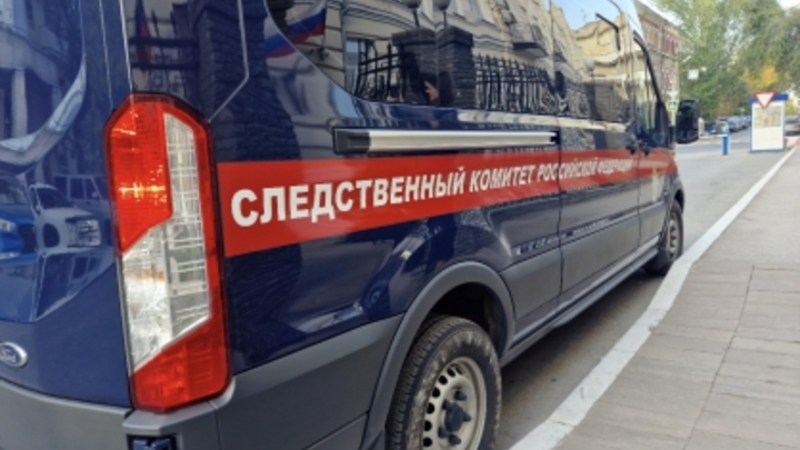 В отношении двух жителей Самарской области возбудили уголовное дело из-за реабилитации нацизма