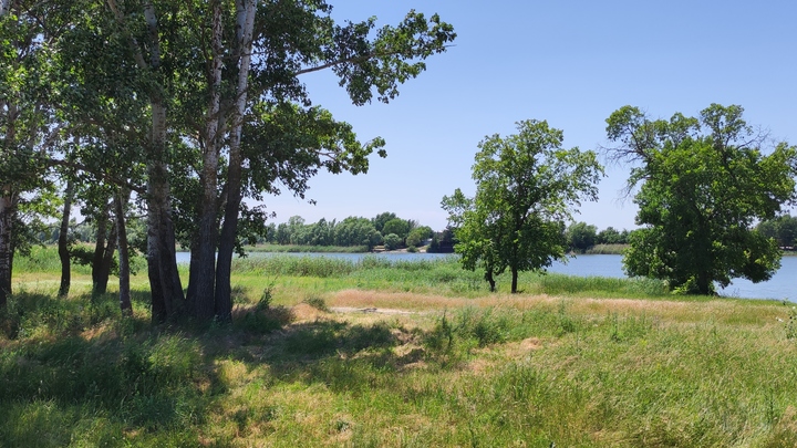 Погода в Ростове-на-Дону 20 июля 2023: прогноз синоптиков