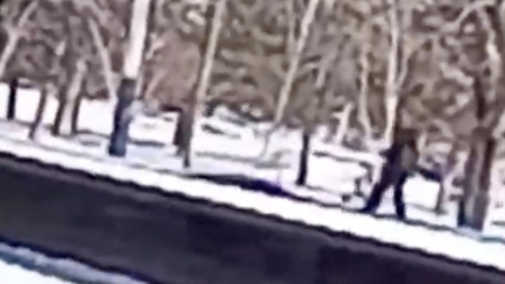 Продолжают глумиться над исторической памятью: в Абинске подросток бросал снежки в Вечный огонь