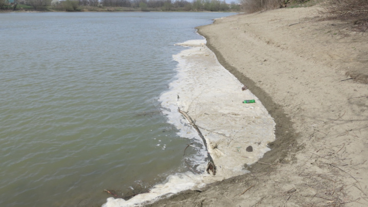 Экологи просят власти привести в порядок краснодарский Остров Масленицы