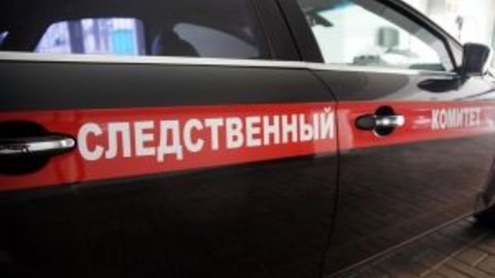 Бастрыкин взял на контроль дело о первокласснике, покалеченном в детском лагере под Петербургом