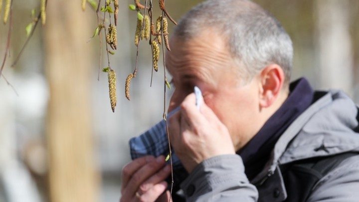 Тополиный пух, жара, аллергия: Врач рассказал, как справиться с летней напастью