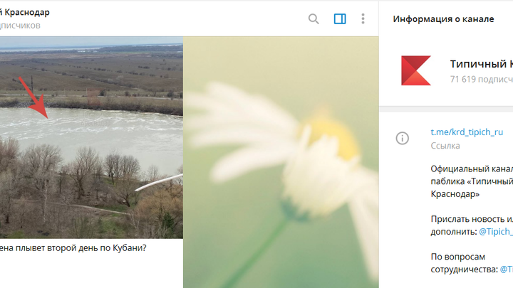 Стало известно, откуда в реке Кубань появилась пена