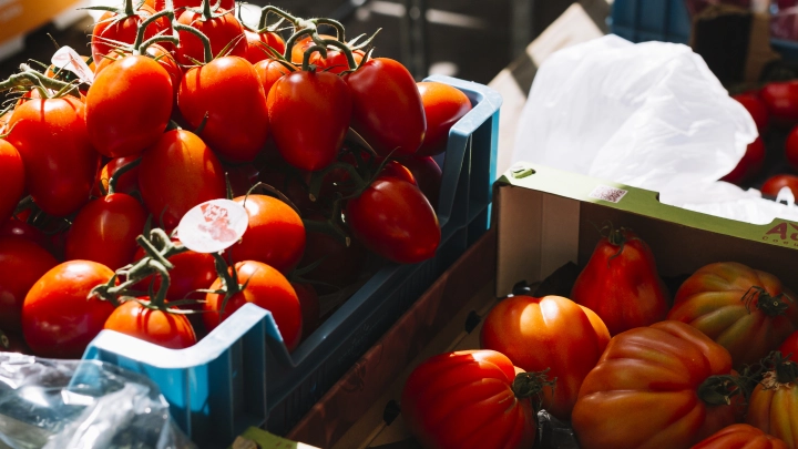 Из Новосибирска обратно в Узбекистан отправили более 18 тонн заражённых помидоров