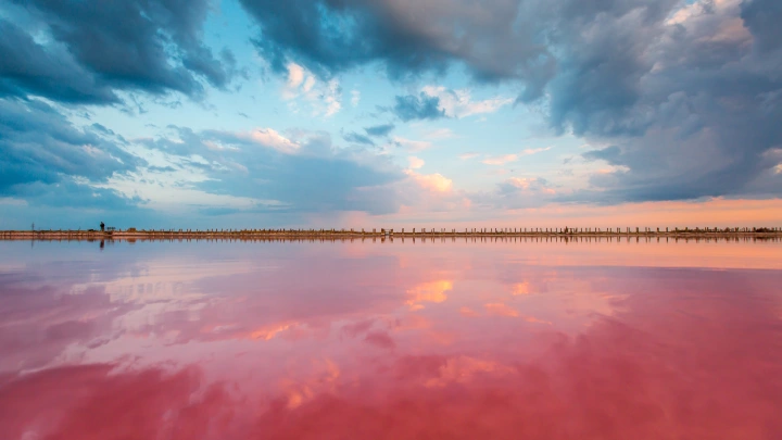 Кисельные берега в Краснодаре: учёные пытаются выяснить природу розовой воды в озере