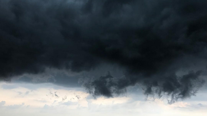 Много домов ушло под воду: Посёлок в Подмосковье затопило в считаные минуты - очевидцы