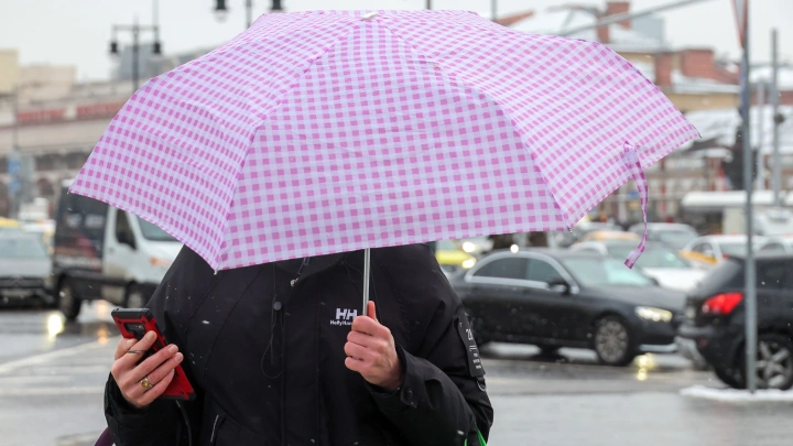 Жителей Подмосковья предупредили о шквалистом ветре и сильной гололедице