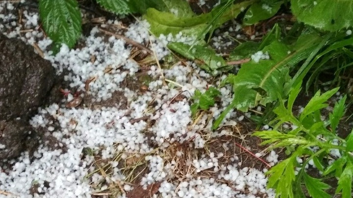 Автомобили плавали, а с неба падал виноград: Жители Перми засняли на видео разгул природы