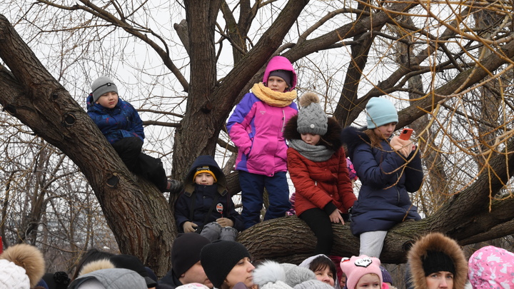 Под благовидным предлогом пытались внедрить ювеналку: Защита детей и семьи в Конституции необходима - депутат Ионин