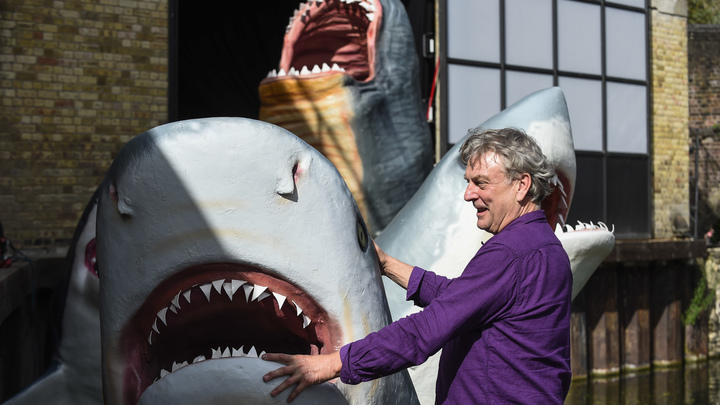 Древние акулы-мегалодоны достигали максимальных размеров в холодных морях