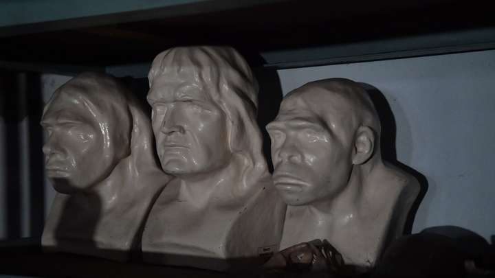 В сентябре вновь заработает Мелитопольский краеведческий музей