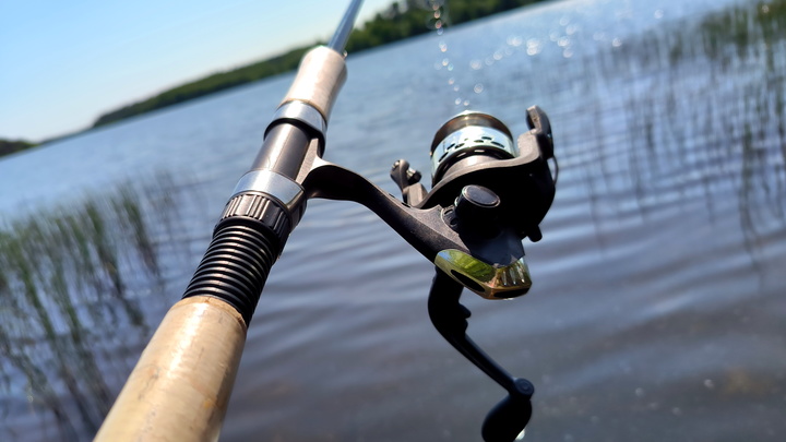 Разрушение Каховской ГЭС привело к массовой гибели рыбы – Минагропром Украины