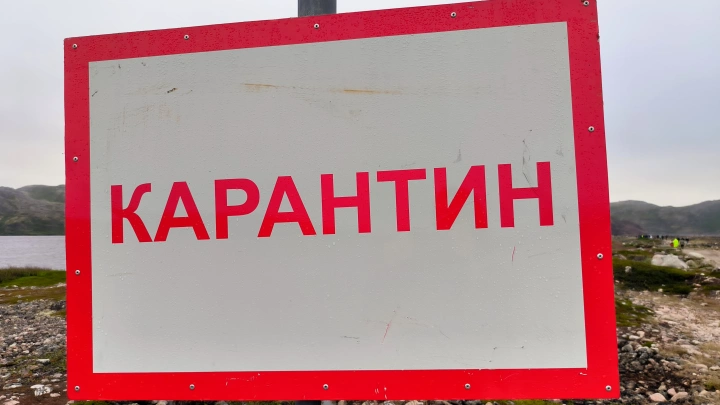 Поражает органы и медленно убивает: В Самаре свирепствует опасная инфекция, введён карантин