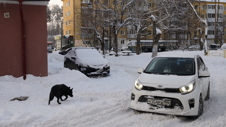 В МЧС предупредили о сильном снегопаде в Краснодарском крае до 12 января