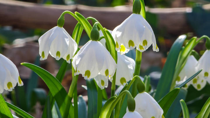 До +19°C. Каким будет первый день весны в Краснодарском крае