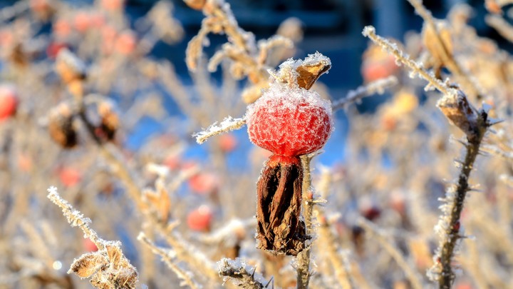 Челябинцев предупредили об аномальном холоде с 30 ноября по 4 декабря