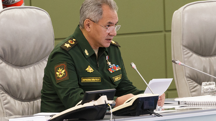 Ну что, Коля, помогли тебе твои американские ляхи?: Блогер расшифровал фото дня с Шойгу
