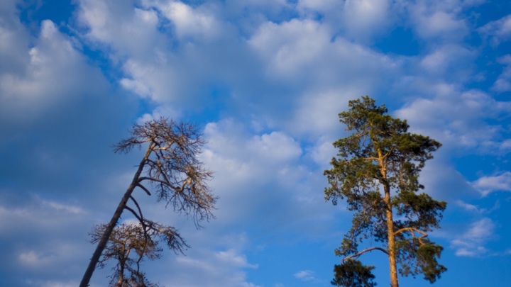 Глава нижегородского Минкульта Наталья Суханова похвалилась собранными грибами