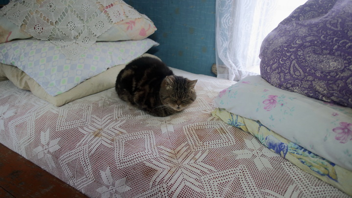 Мозг переходит в режим ожидания: Невролог назвала фатальное последствие недосыпа