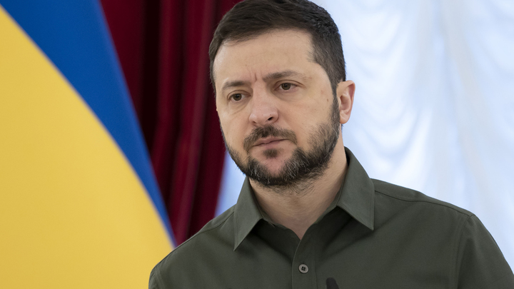 Профессор объяснил скрытый смысл странного приглашения Зеленского для Си