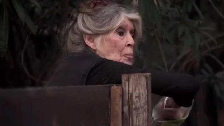 Опубликовано последнее видео актрисы Брижит Бардо за несколько дней до смерти