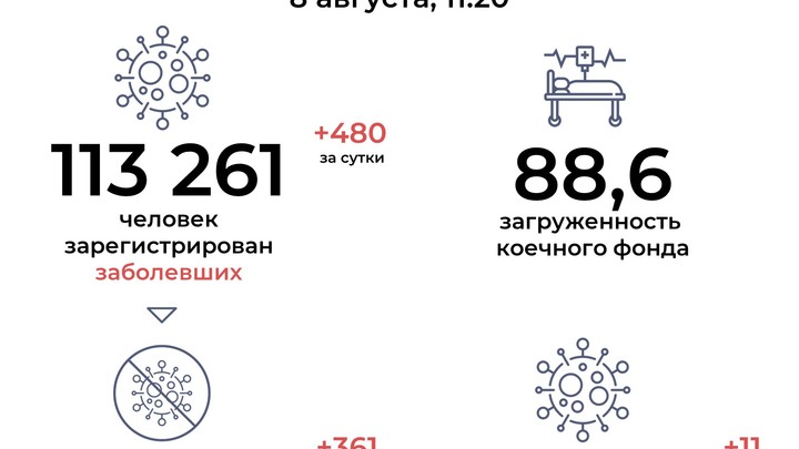 В Ростовской области 480 новых случаев заражения COVID-19 за сутки