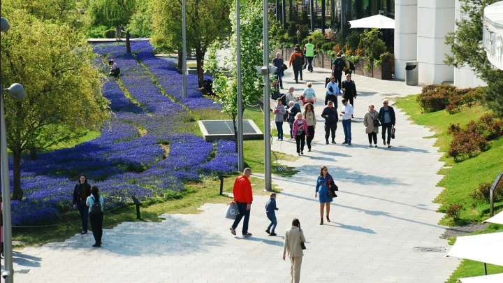 Москва заняла третью строчку в рейтинге самых экологически чистых регионов