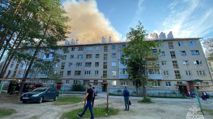 В Архангельской области тушат крупный пожар: присвоен ранг 1БИС