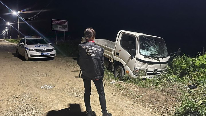 Пьяный водитель грузовика сбил четверых детей на Сахалине