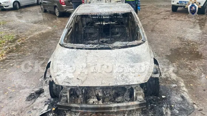 Дядя убил, племянница сожгла: в Подмосковье раскрыто жестокое убийство