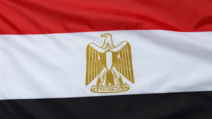 В Каире накрыли вечеринку в стиле остров Эпштейна