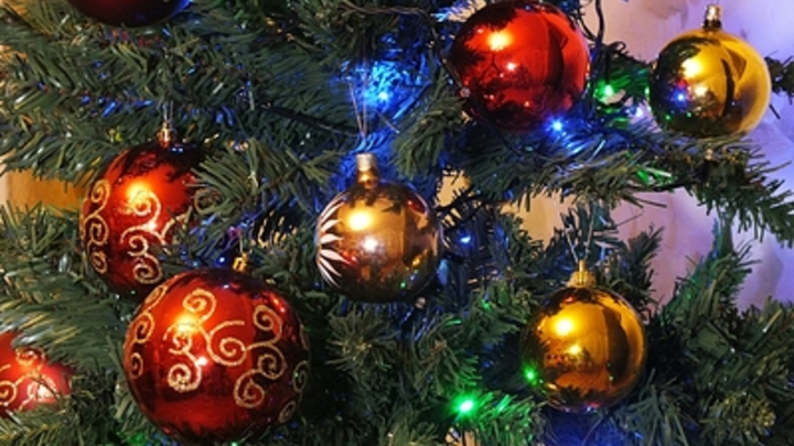 Предновогоднее чудо своими руками: Как под Архангельском спасли праздник