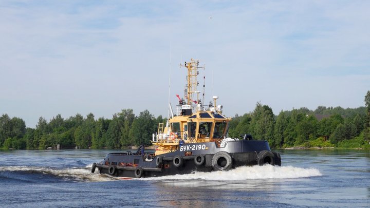 Видел галлюцинации и нёс бред: моряк буксира из Петербурга загадочно исчез в море