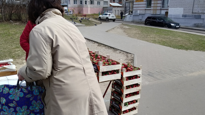 Во Владимире появилась первая клубника в ящиках