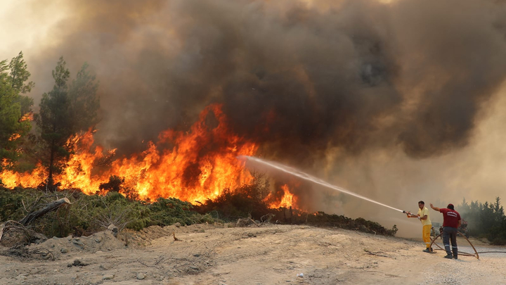 Спастись из Бодрума: Сотню русских туристов эвакуировали по воде