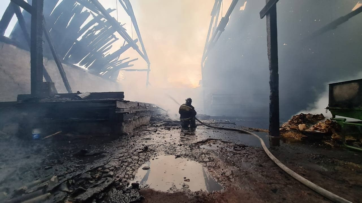 Пожары в Красноярском крае уничтожили 518 жилых домов