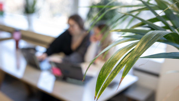 Раньше - кинотеатр, теперь - Место встречи Прага: Пространство откроется на севере столицы