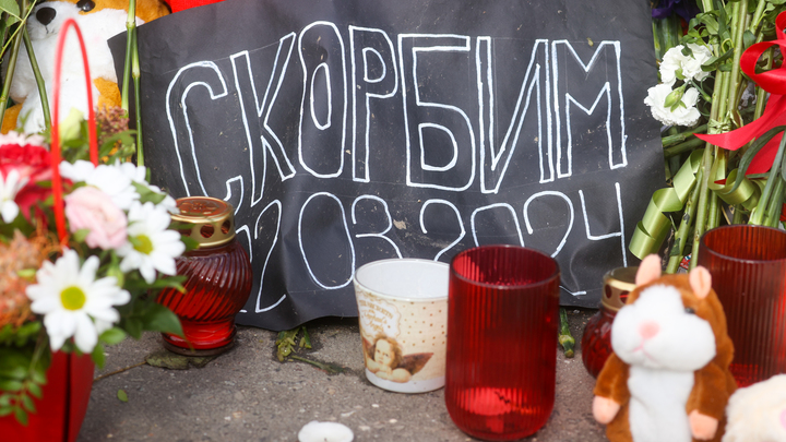 Живут себе припеваючи: как звездные беглецы отреагировали на теракт в Крокус Сити Холле