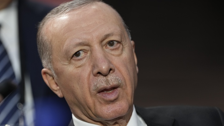 Турция вслед за Россией и Грузией готовит закон об иноагентах. В Сети не сдержали иронии: Для каждого союзника есть нож в спину