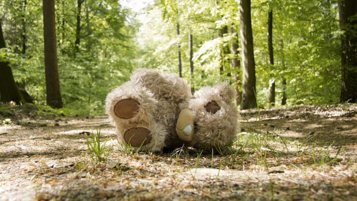 В Орловской области три джигита похитили 16-летнюю девочку
