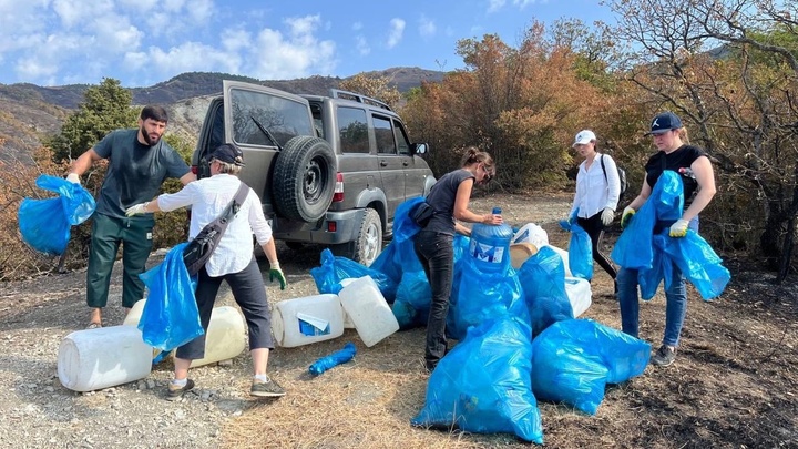 Около 250 человек поучаствовали в субботнике в сгоревшем лесу в Геленджике