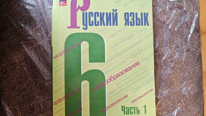 Названо число детей иностранных граждан в школах Новосибирской области