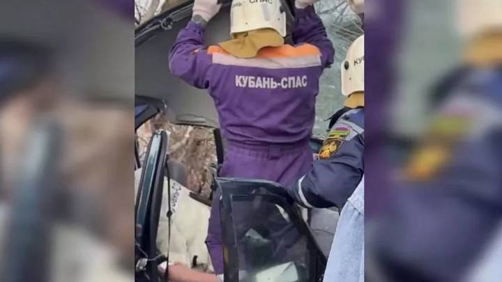 На Кубани после столкновения с деревом водителя зажало в искореженной легковушке