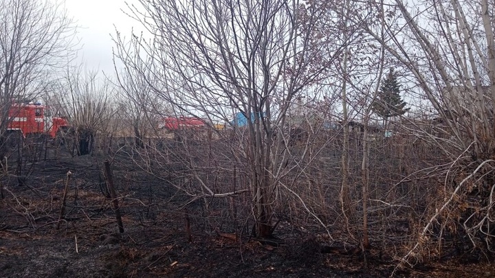В Новосибирской области зафиксирован 31 лесной пожар