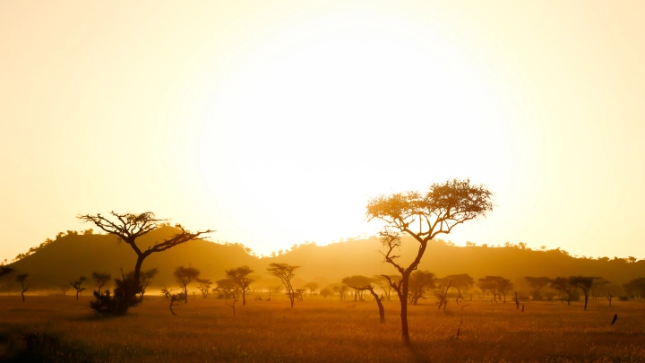 Ослабить влияние России: Киев примерил роль хозяина Африки