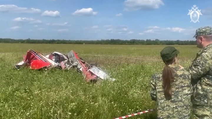 Комиссия МАК завершила расследование крушения легкомоторного самолёта в Ступине